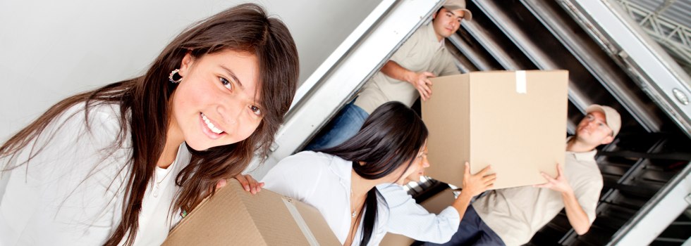 Professional Removalists Moresby QLD